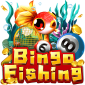 Bingo Fishing at okbet bet